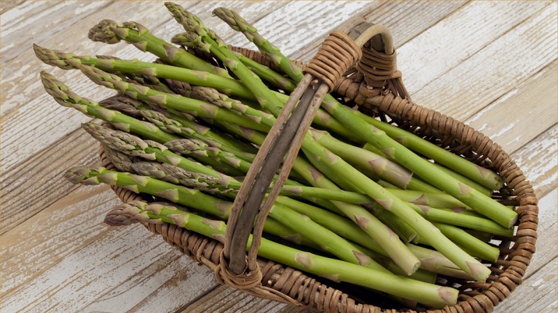 What is asparagus, how it looks and is used