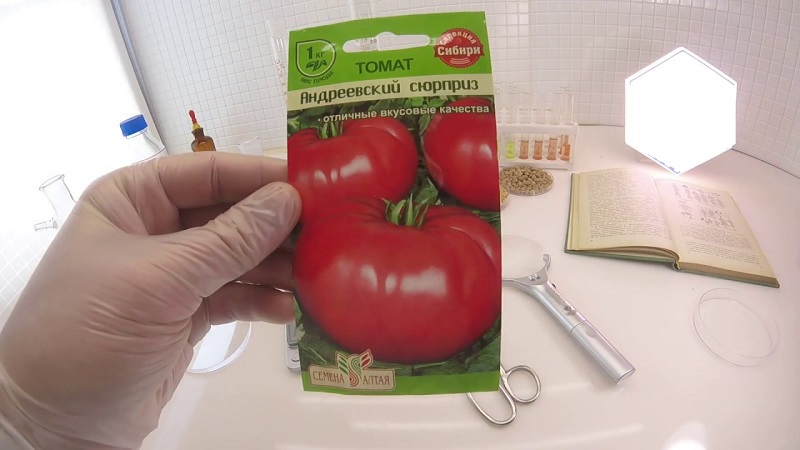 Will give a late harvest, but meet expectations - tomato Andreevsky surprise