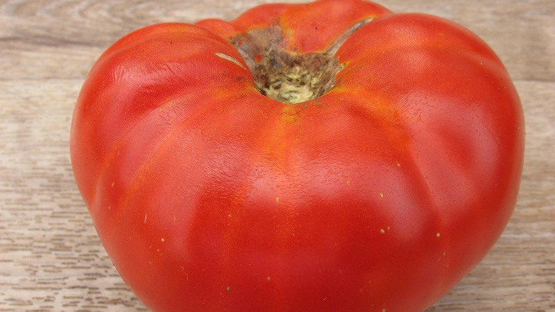 Will give a late harvest, but meet expectations - tomato Andreevsky surprise