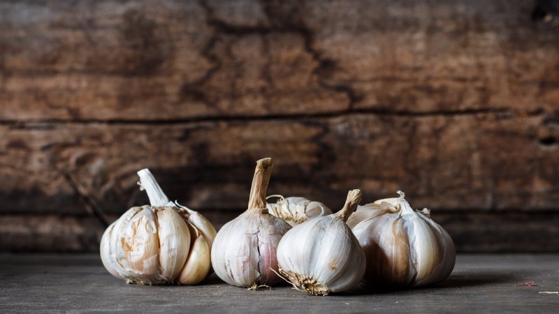What happens if you eat garlic every day, and how much to use it, so as not to harm your health