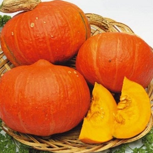 A hybrid with an original flavor that will pleasantly surprise you - pumpkin Hazelnut: grown without much hassle