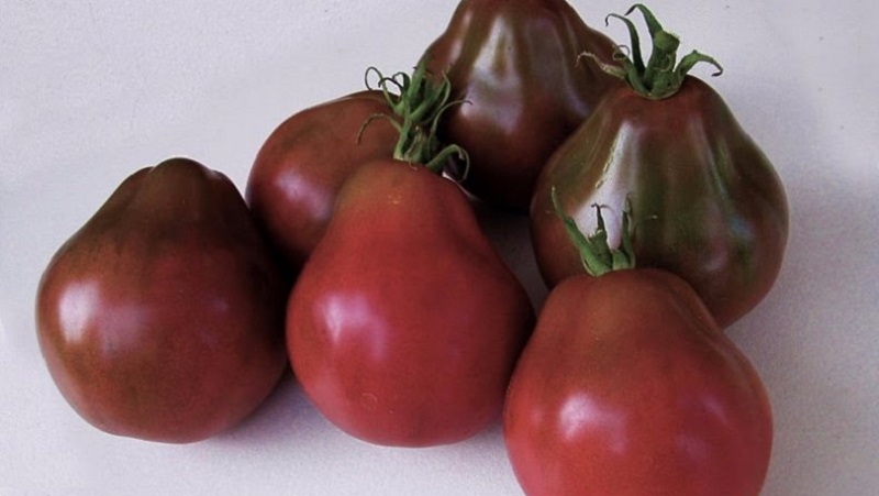 Tomato, ideal for conservation and not capricious in care, Japanese truffle: reviews, photos and growing secrets