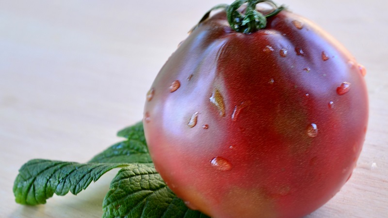 Tomato, ideal for conservation and not capricious in care, Japanese truffle: reviews, photos and growing secrets