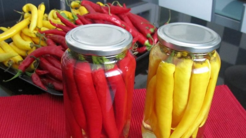 How to cook pickled hot peppers for the winter without sterilization: the simplest and most delicious recipes