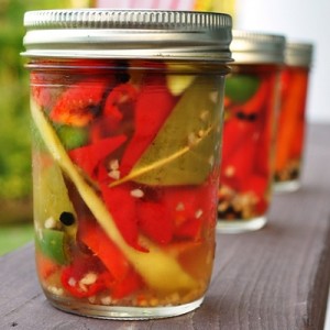 Cooking a hot snack at home: how to salt hot pepper for the winter according to the best recipes from around the world