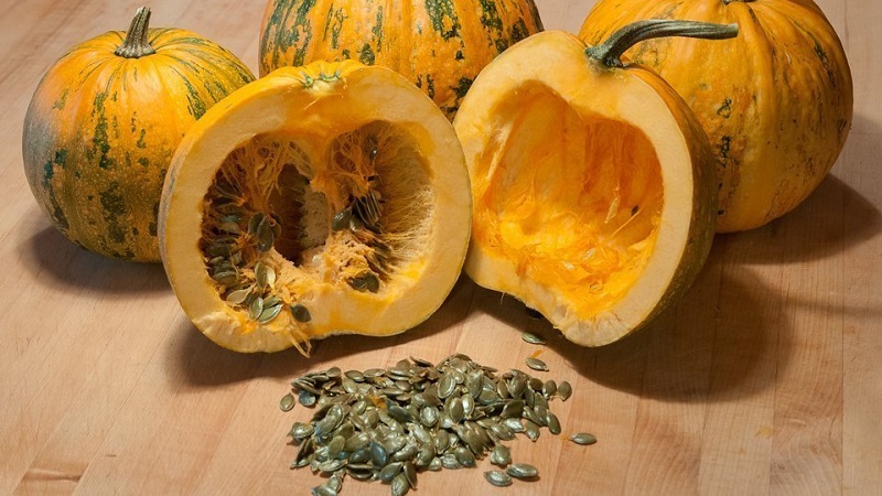 How to choose and prepare pumpkin seeds for planting, and then grow an excellent harvest from them