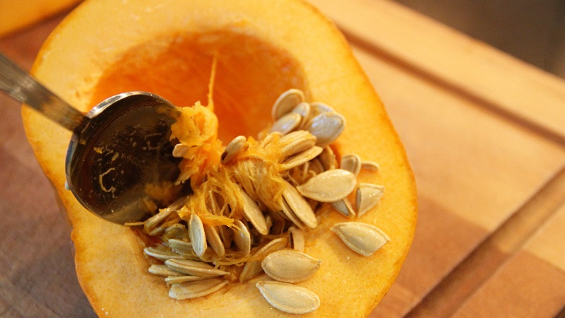 How to choose and prepare pumpkin seeds for planting, and then grow an excellent harvest from them