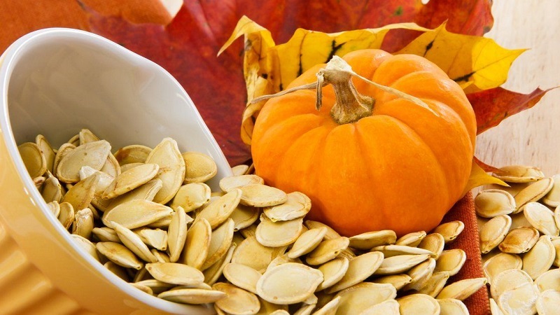 How to choose and prepare pumpkin seeds for planting, and then grow an excellent harvest from them