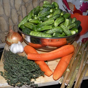 How to prepare pickled cucumbers with chili ketchup for the winter: recipes and tips
