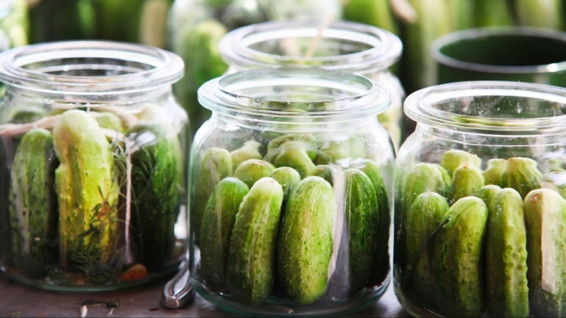 How to prepare cucumbers with cinnamon for the winter: unusual but delicious recipes