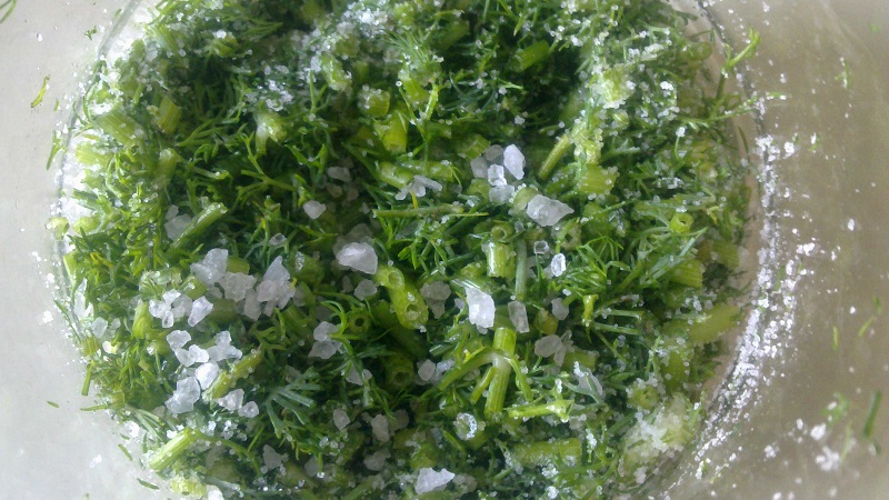 How to salt dill for the winter in jars: simple recipes from experienced housewives