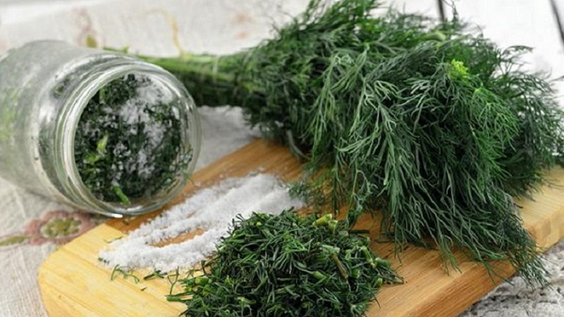 How to salt dill for the winter in jars: simple recipes from experienced housewives
