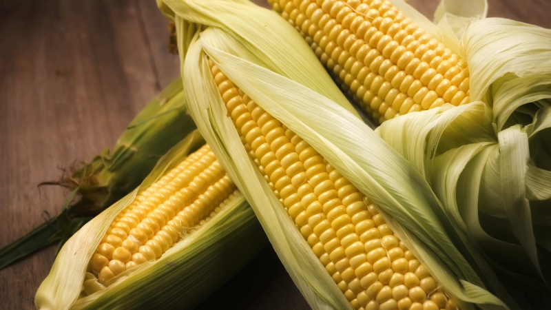 Calorie content of corn and features of its composition: vitamins, minerals and useful properties of the queen of the fields