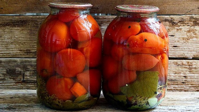 Canned tomatoes for the winter: a selection of the best recipes and useful tips for the correct preparation of twists