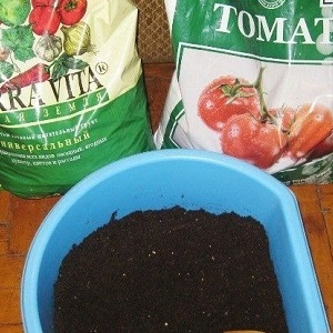 Large-fruited variety, from which summer residents are delighted - tomato Riddle of nature
