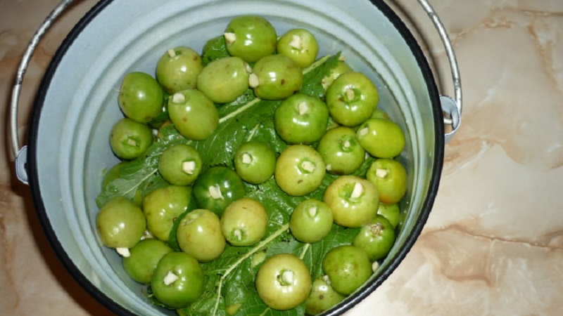 Best methods for cold pickling green tomatoes in a bucket