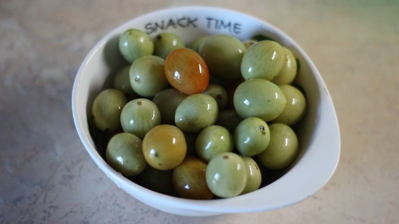 Best methods for cold pickling green tomatoes in a bucket