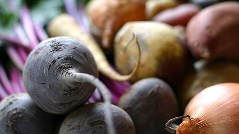 The best ways to store beets: choosing the right one and protecting the crop from spoilage