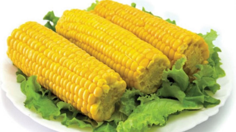 Whether or not corn is possible for type 2 diabetes: harm and benefit, consumption rates