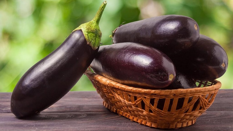 Is eggplant possible for gastritis: arguments for and against, acceptable ways of use