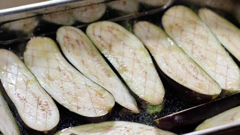Is eggplant possible for gastritis: arguments for and against, acceptable ways of use