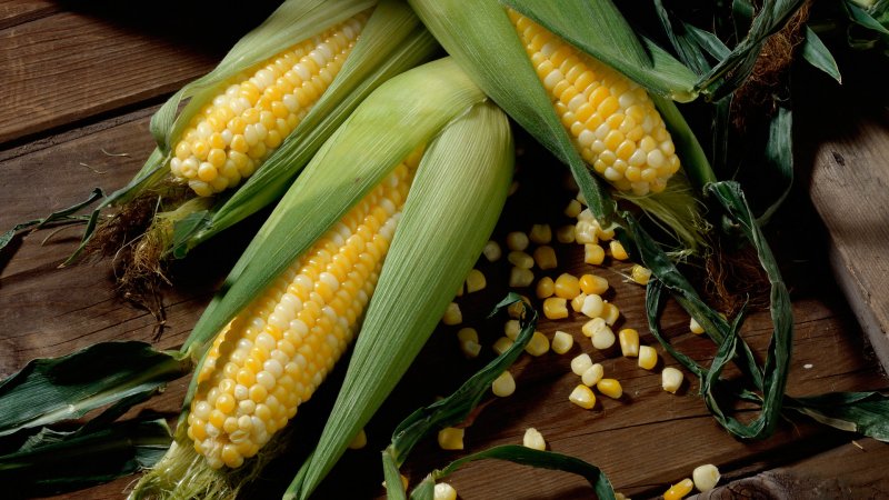 Is it possible to eat raw corn: the benefits and harms of fresh vegetables, possible contraindications