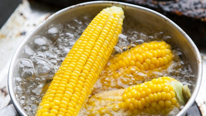 Is it possible to eat boiled corn for pancreatitis: the pros and cons and rules of use