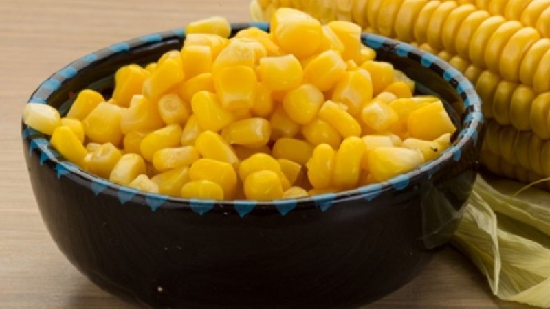 Is it possible to eat boiled corn while losing weight: calorie content, harm and benefits of cereal