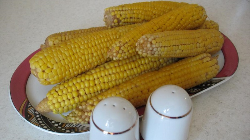 Is it possible to eat boiled corn while losing weight: calorie content, harm and benefits of cereal