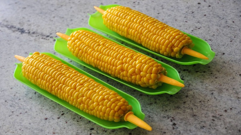 Is it possible to eat boiled corn while losing weight: calorie content, harm and benefits of cereal