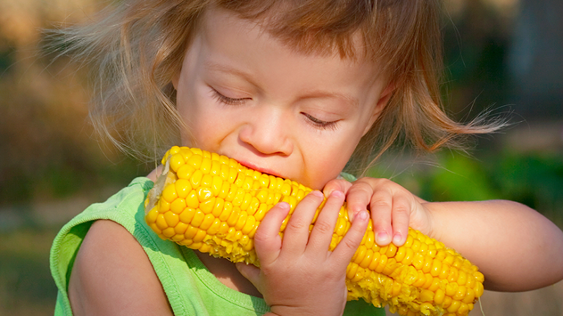 Is it possible to eat boiled corn while losing weight: calorie content, harm and benefits of cereal