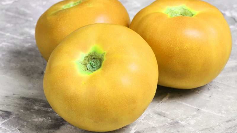 Named for its tallness, the unusual tomato Giraffe