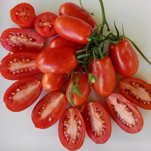 Non-capricious in care and ideal for pickling French bunch tomato: an overview of the variety and the nuances of care
