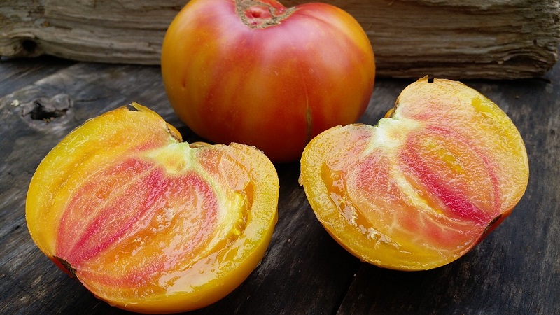 Incredibly sweet and amazingly beautiful tomato Honey salute