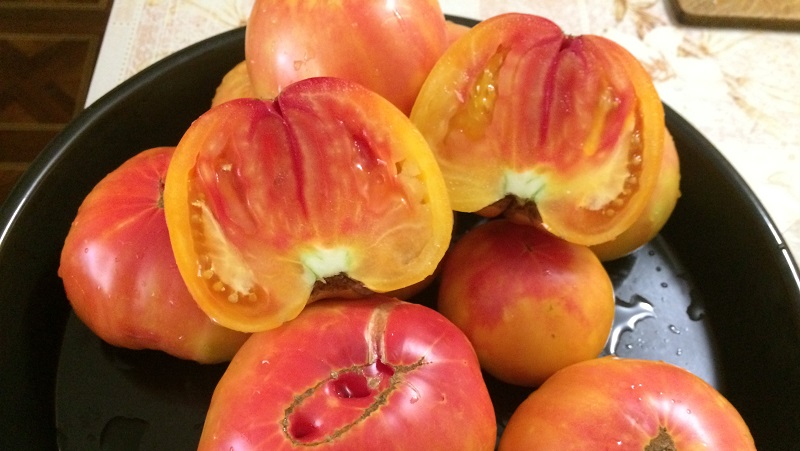 Incredibly sweet and amazingly beautiful tomato Honey salute