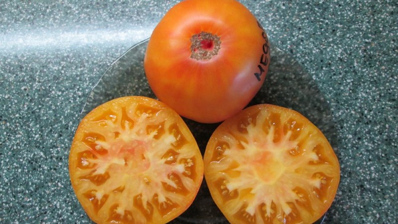 Incredibly sweet and amazingly beautiful tomato Honey salute