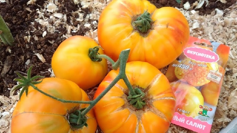 Incredibly sweet and amazingly beautiful tomato Honey salute
