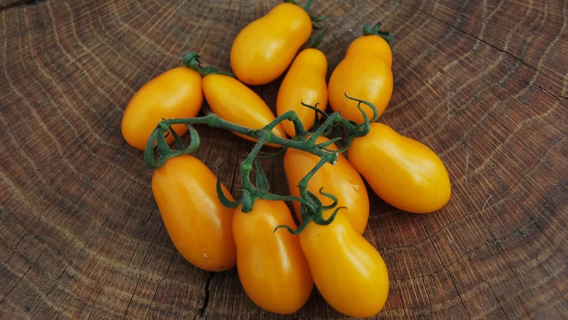 Adored by children and adults, a bright greenhouse hybrid with a fruity flavor - Tomato Date yellow