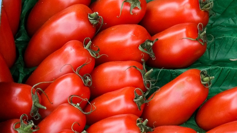 Why gardeners like tomato Delicacy so much and how to grow it on their site, having received a bountiful harvest