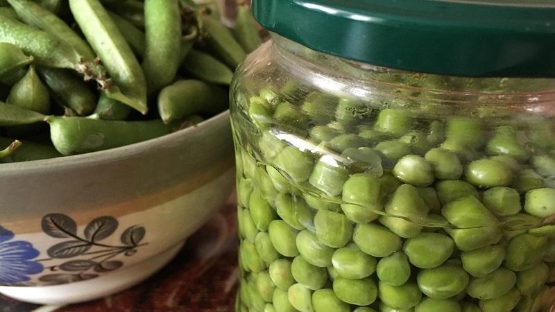 A selection of the best recipes for pickled peas for the winter without sterilization: cooking secrets from experienced housewives