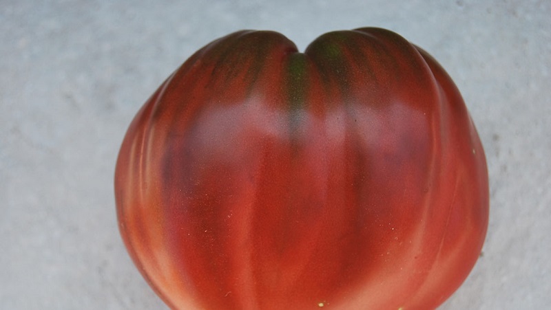 A complete review of the tomato Black Heart Breda: characteristics and description of the variety, its advantages and disadvantages
