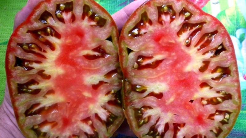 A complete review of the tomato Black Heart Breda: characteristics and description of the variety, its advantages and disadvantages