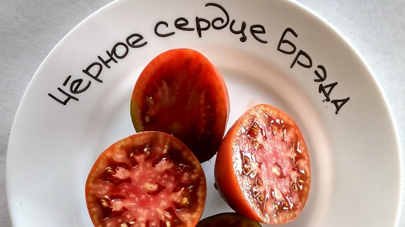 A complete review of the tomato Black Heart Breda: characteristics and description of the variety, its advantages and disadvantages