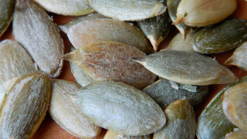 The benefits and harms of pumpkin seeds for women: therapeutic effect and rules for using pumpkin seeds