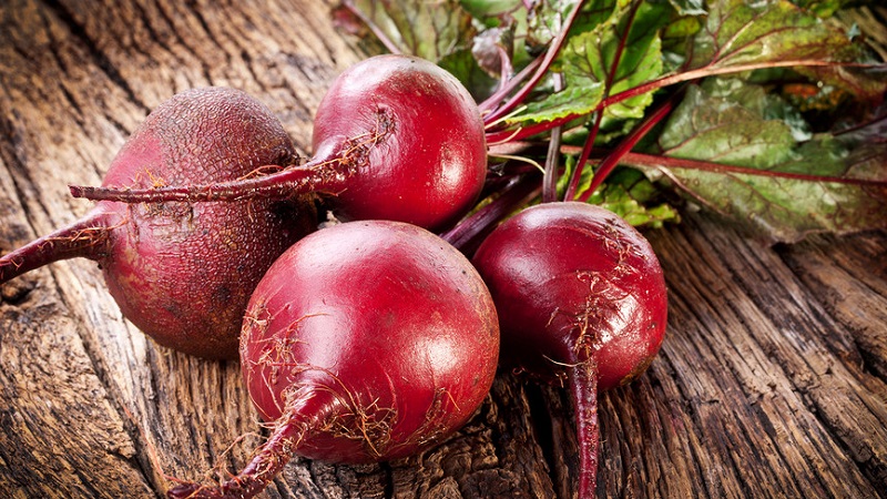 Step-by-step instructions for planting beets in spring in open ground and further caring for them
