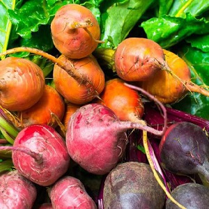 Step-by-step instructions for planting beets in spring in open ground and further caring for them
