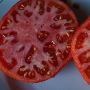 A guide to growing a Russian bogatyr tomato in an open field or greenhouse for beginner gardeners