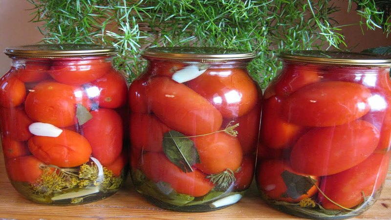 The most delicious recipes for pickled tomatoes for the winter in jars: how to cook and roll the blanks correctly