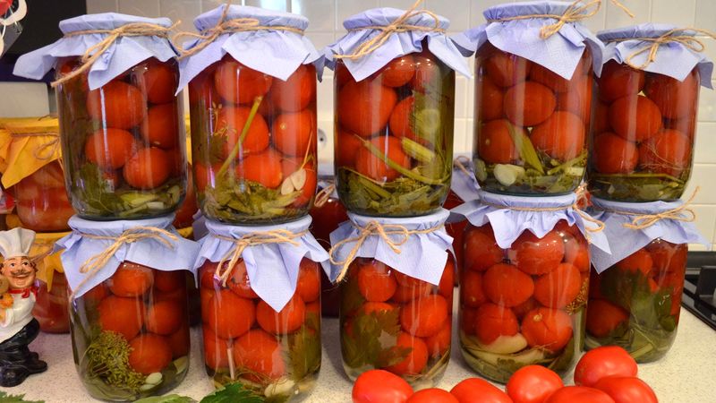 The most delicious recipes for pickled tomatoes for the winter in jars: how to cook and roll the blanks correctly