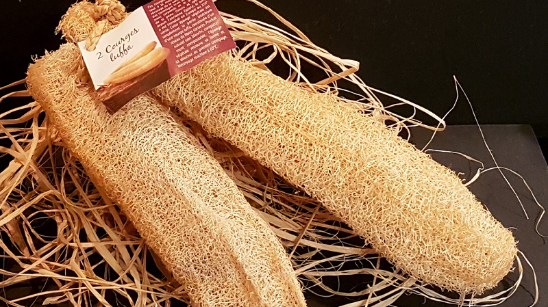 The most unusual type of Luffa pumpkin: what it is and how to make the most useful natural loofah out of it